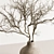 Rustic Charm Dried Branch Bouquet 3D model small image 3