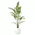 Lush Kentia Palm Artificial Plant 3D model small image 1