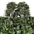  Backyard and Landscape Bush and Tree Set 3D model small image 2