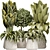 Precise 3D Plant Model With Turbo Smooth 3D model small image 1