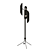 Sleek Modern Vector Floor Lamp 3D model small image 2