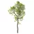 Shorea Robusta Sal Tree Model 3D model small image 1
