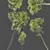 Shorea Robusta Sal Tree Model 3D model small image 3