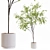Premium Indoor Plant 3D Model 3D model small image 2