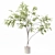 Premium Indoor Plant 3D Model 3D model small image 3