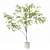 Premium Indoor Plant 3D Model 3D model small image 4