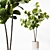 Detailed 3D Indoor Plant Model 3D model small image 2