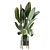  Custom Indoor Plant Model 3D model small image 1