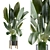  Custom Indoor Plant Model 3D model small image 2