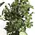Indoor Oasis Plant Set 0115 3D model small image 4