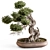 Bonsai Plant 754  Indoor 3D model small image 1