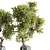 High-Quality Indoor Plants Set 3D model small image 4