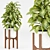 Modern Indoor Plant Set 2018 3D model small image 2