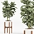 Modern Indoor Plant Set 2018 3D model small image 3