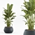 Modern Indoor Plant Set 2018 3D model small image 6