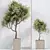 Exquisite Indoor Plant Set 95 3D model small image 4