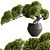 Zen Bonsai Tree in Pot 3D model small image 1