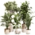 Modern Indoor Plant Set 0118 3D model small image 1