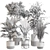 Modern Indoor Plant Set 0118 3D model small image 5