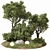 Outdoor Plant Set 07: Versatile 3D Plants 3D model small image 1