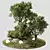 Outdoor Plant Set 07: Versatile 3D Plants 3D model small image 2