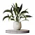 Variegated Spathiphyllum (Peace Lily) Set 3D model small image 1