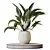 Variegated Spathiphyllum (Peace Lily) Set 3D model small image 2