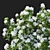 Elegant White Rhododendron Pulchrum 2017 3D model small image 3