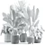 Custom Modeled Indoor Plant 243 3D model small image 2