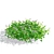 Phyla Nodiflora Branches and Bushes 3D model small image 11