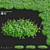 Phyla Nodiflora Branches and Bushes 3D model small image 19