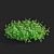 Phyla Nodiflora Branches and Bushes 3D model small image 20