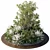 Outdoor Garden Plants Collection 3D model small image 1