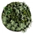 Designer Circle Wall Plant Frame 3D model small image 2