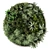 Designer Circle Wall Plant Frame 3D model small image 3