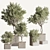 Sleek Indoor Plant Set 146 3D model small image 10