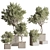 Sleek Indoor Plant Set 146 3D model small image 11