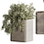 Sleek Indoor Plant Set 146 3D model small image 14