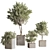 Sleek Indoor Plant Set 146 3D model small image 15