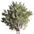 Sleek Indoor Plant Set 146 3D model small image 18