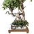 Plant & Decor 3D Models Collection 3D model small image 3