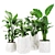 500k Poly Plants Set 3Dmax 3D model small image 1