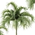 Tropical Christmas Palm Tree Model 3D model small image 3