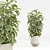 Diverse Indoor Plants Set 3D model small image 4