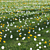 Meadow Bliss 3D model small image 1