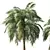 Tropical Palm Tree Home Decor 3D model small image 2