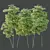 Therapeutic Bamboo Tree Models Pack 3D model small image 2