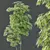 Therapeutic Bamboo Tree Models Pack 3D model small image 3