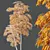 Therapeutic Bamboo Tree Models Pack 3D model small image 5