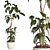 3D Plant & Decor Collection 3D model small image 3